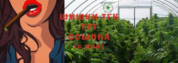 стаф Нягань