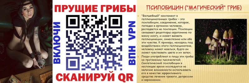 Галлюциногенные грибы MAGIC MUSHROOMS  магазин  наркотиков  Миллерово 